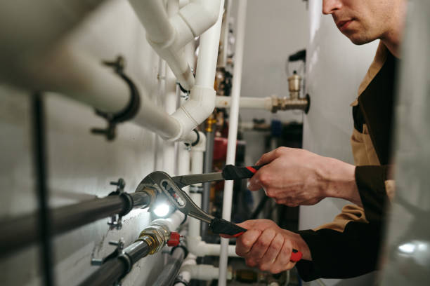  Encantada Ranchito El Calaboz, TX Plumbing Pros