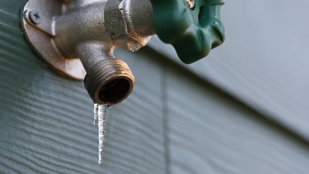 Best Residential Plumbing Services  in Encantada Ranchito El Calaboz, TX